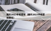 图片2023手机壁纸（图片2023手机壁纸鲜花）