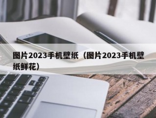 图片2023手机壁纸（图片2023手机壁纸鲜花）