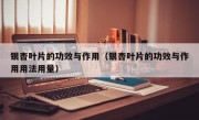 银杏叶片的功效与作用（银杏叶片的功效与作用用法用量）