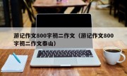 游记作文800字初二作文（游记作文800字初二作文泰山）