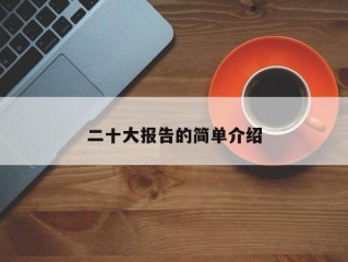 二十大报告的简单介绍