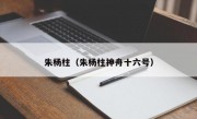 朱杨柱（朱杨柱神舟十六号）