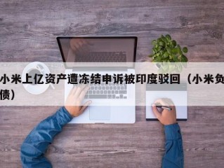 小米上亿资产遭冻结申诉被印度驳回（小米负债）