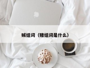 贼组词（赌组词是什么）