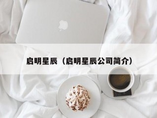 启明星辰（启明星辰公司简介）