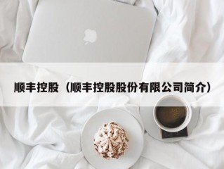 顺丰控股（顺丰控股股份有限公司简介）