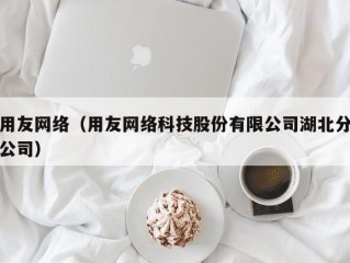 用友网络（用友网络科技股份有限公司湖北分公司）