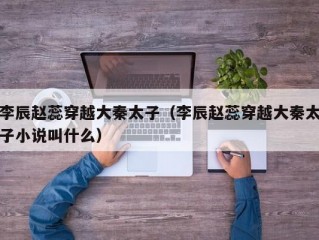 李辰赵蕊穿越大秦太子（李辰赵蕊穿越大秦太子小说叫什么）