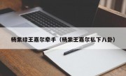 杨紫琼王嘉尔牵手（杨紫王嘉尔私下八卦）