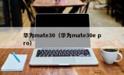 华为mate30（华为mate30e pro）