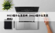 8023是什么意思啊（8023是什么意思啊吗）