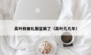 高叶称被礼服鲨疯了（高叶几几年）