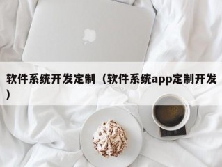 软件系统开发定制（软件系统app定制开发）