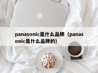 panasonic是什么品牌（panasonic是什么品牌的）