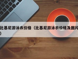 比基尼游泳衣价格（比基尼游泳衣价格及图片）