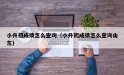 小升初成绩怎么查询（小升初成绩怎么查询山东）