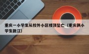 重庆一小学生从校外小区楼顶坠亡（重庆俩小学生跳江）