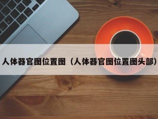 人体器官图位置图（人体器官图位置图头部）