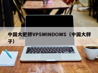 中国大肥胖VPSWINDOWS（中国大胖子）