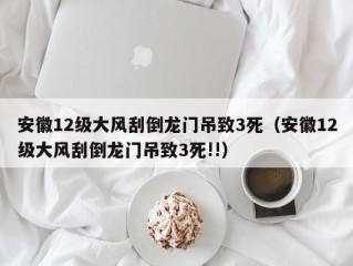 安徽12级大风刮倒龙门吊致3死（安徽12级大风刮倒龙门吊致3死!!）