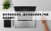 重庆发现巨型怪龟（重庆发现巨型怪龟了吗最新消息图片）