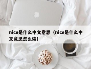 nice是什么中文意思（nice是什么中文意思怎么读）