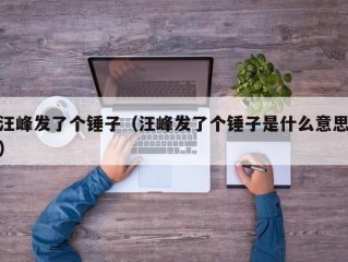 汪峰发了个锤子（汪峰发了个锤子是什么意思）