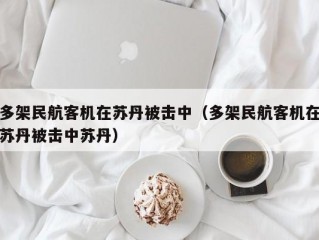 多架民航客机在苏丹被击中（多架民航客机在苏丹被击中苏丹）