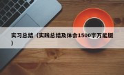 实习总结（实践总结及体会1500字万能版）