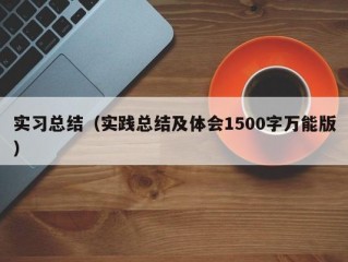 实习总结（实践总结及体会1500字万能版）