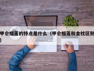 甲仑榴莲的特点是什么（甲仑榴莲和金枕区别）