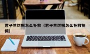 君子兰烂根怎么补救（君子兰烂根怎么补救视频）