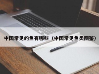 中国常见的鱼有哪些（中国常见鱼类图鉴）