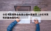 小红书出版物含危害公德内容被罚（小红书发布的图有版权吗）