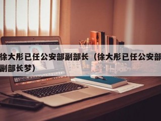 徐大彤已任公安部副部长（徐大彤已任公安部副部长梦）