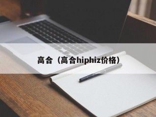 高合（高合hiphiz价格）