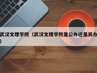 武汉文理学院（武汉文理学院是公办还是民办）