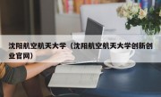 沈阳航空航天大学（沈阳航空航天大学创新创业官网）