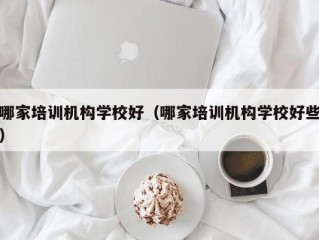 哪家培训机构学校好（哪家培训机构学校好些）