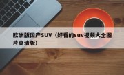 欧洲版国产SUV（好看的suv视频大全图片高清版）