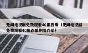 无间电视剧免费观看40集西瓜（无间电视剧免费观看40集西瓜剧情介绍）