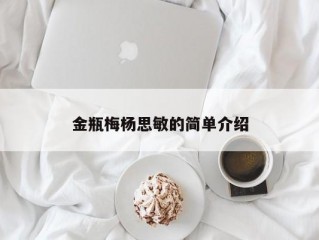 金瓶梅杨思敏的简单介绍