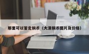 那里可以鉴定铜币（大清铜币图片及价格）