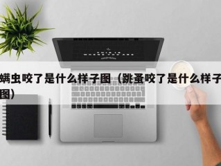 螨虫咬了是什么样子图（跳蚤咬了是什么样子图）