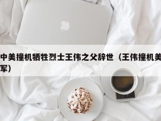 中美撞机牺牲烈士王伟之父辞世（王伟撞机美军）