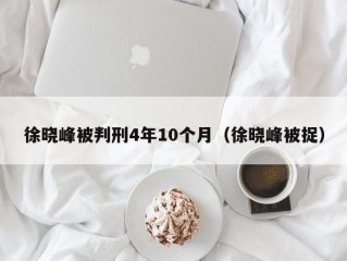 徐晓峰被判刑4年10个月（徐晓峰被捉）