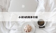 小说h的简单介绍