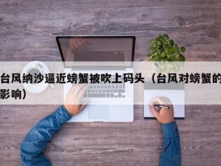 台风纳沙逼近螃蟹被吹上码头（台风对螃蟹的影响）