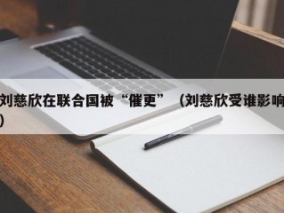 刘慈欣在联合国被“催更”（刘慈欣受谁影响）