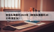 微信头像图片2023年（微信头像图片2023年背影女）